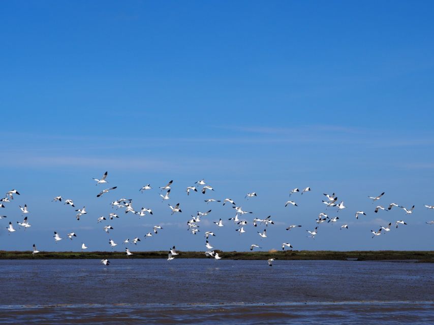 Lisbon: Tagus Estuary Nature Reserve Birdwatching Boat Tour - What to Pack So Your Birding Day Stays Easy