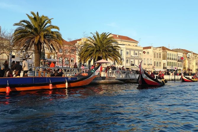 Lisbon to Porto Up to 4 Stops: Obidos, Nazare, Fatima and Aveiro - Nazaré: surf-world fame plus the real rhythm of fishing by the Atlantic