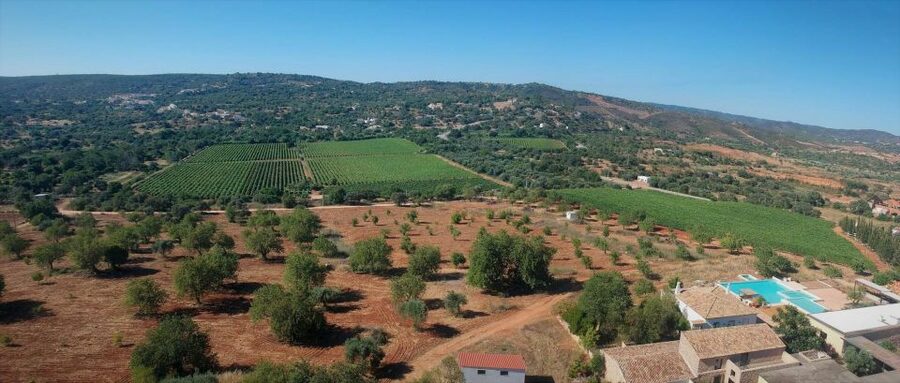 Loulé: Quinta da Tôr Winery Guided Tour and Wine Tasting - My quick decision rule: should you book Quinta da Tôr?