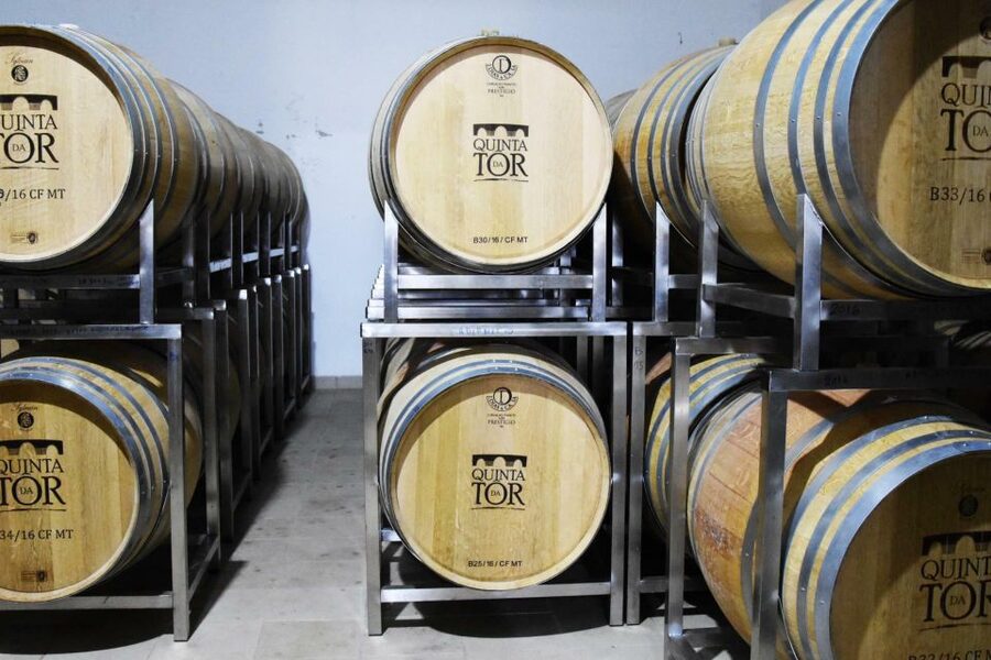 Loulé: Quinta da Tôr Winery Guided Tour and Wine Tasting - Bread, homemade olive oil, and why it belongs with wine