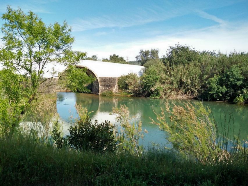 Loulé: Quinta da Tôr Winery Guided Tour and Wine Tasting - The infinity pool upgrade: how to plan your time