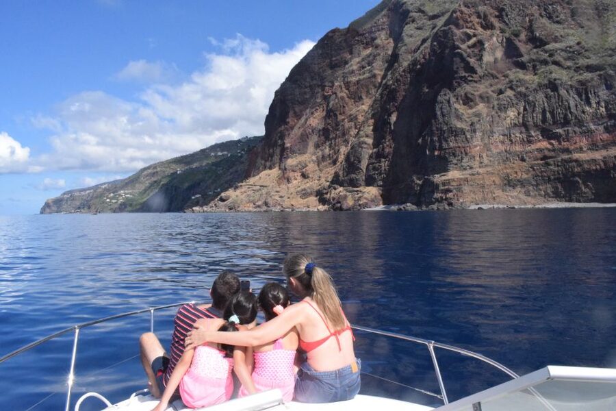 Madeira: 2.5-Hour Whale and Dolphin-Watching Cruise - Price and value for your money, what is included, what is not