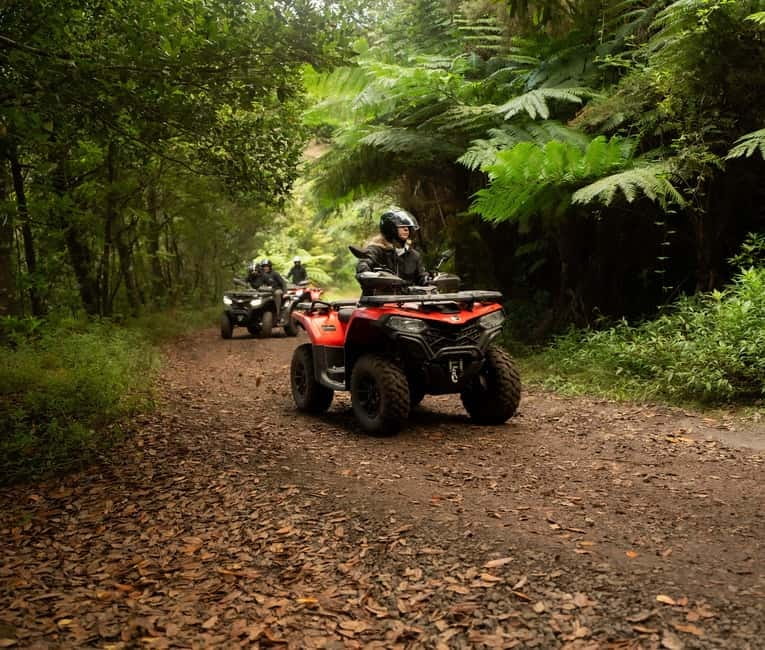 Madeira: Aventura Off-Road de ATV ou Quad - Adrenalina - Key Things To Know Before You Go