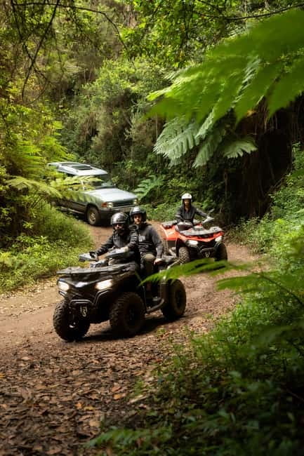 Madeira: Aventura Off-Road de ATV ou Quad - Adrenalina - Should You Book Quad Xperience Madeira ATV or Quad?