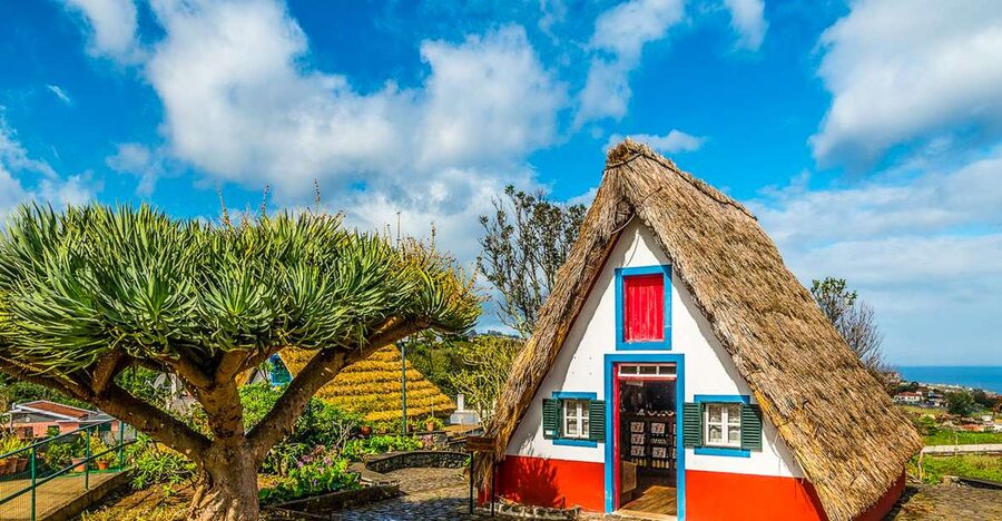 Madeira: Best of the East Tour from Funchal - Down Through Forest Toward the Coast: The Laurissilva Relic Feeling