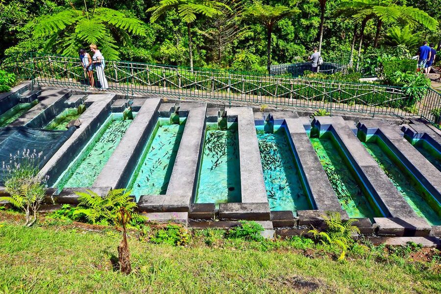 Madeira: Best of the East Tour from Funchal - Your Guide Matters, and This Tour Usually Delivers