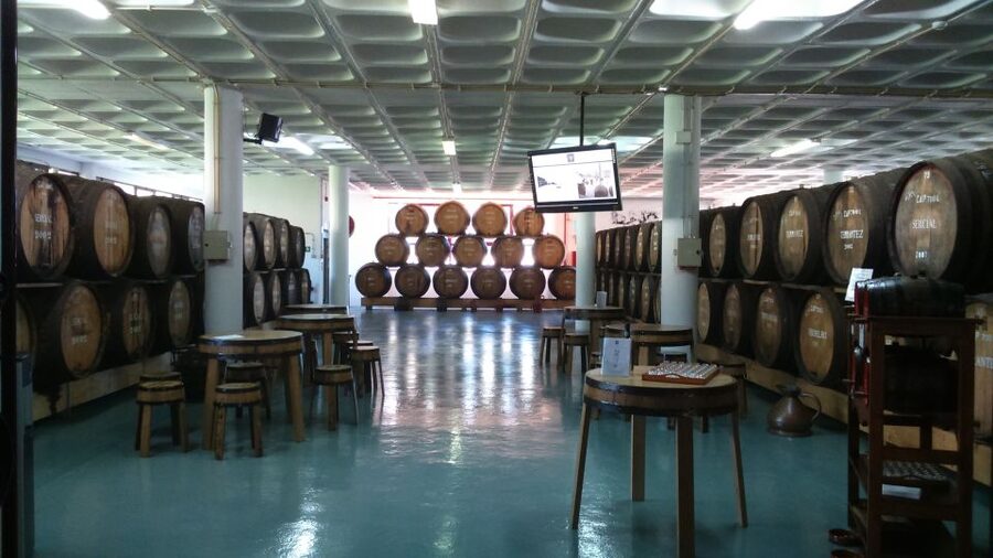 Madeira: Cabo Girao, Jeep Tour Adventure and Wine Tasting - Jardim da Serra Off-Road: Cherry Fields and Real Mountain Driving