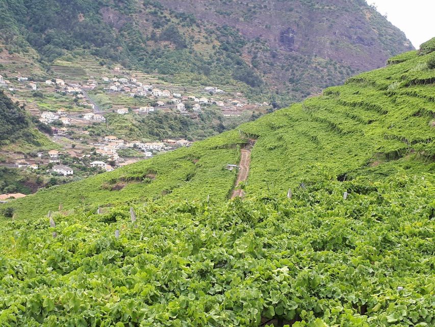 Madeira: Cabo Girão, Wine Tasting, & Serra d'Água Jeep Tour - Key highlights at a glance