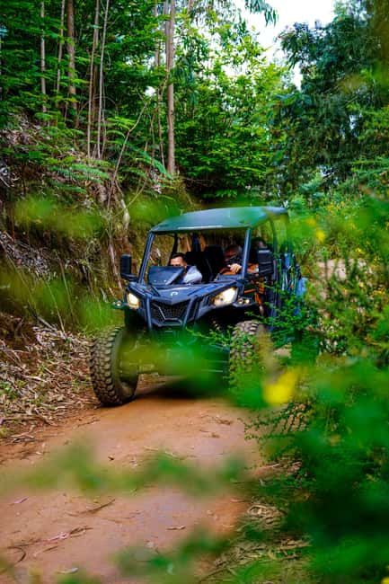 Madeira: Can-Am Off-Road Buggy Guided Adventure - Poncha stop near the end: the fun break you’ll remember