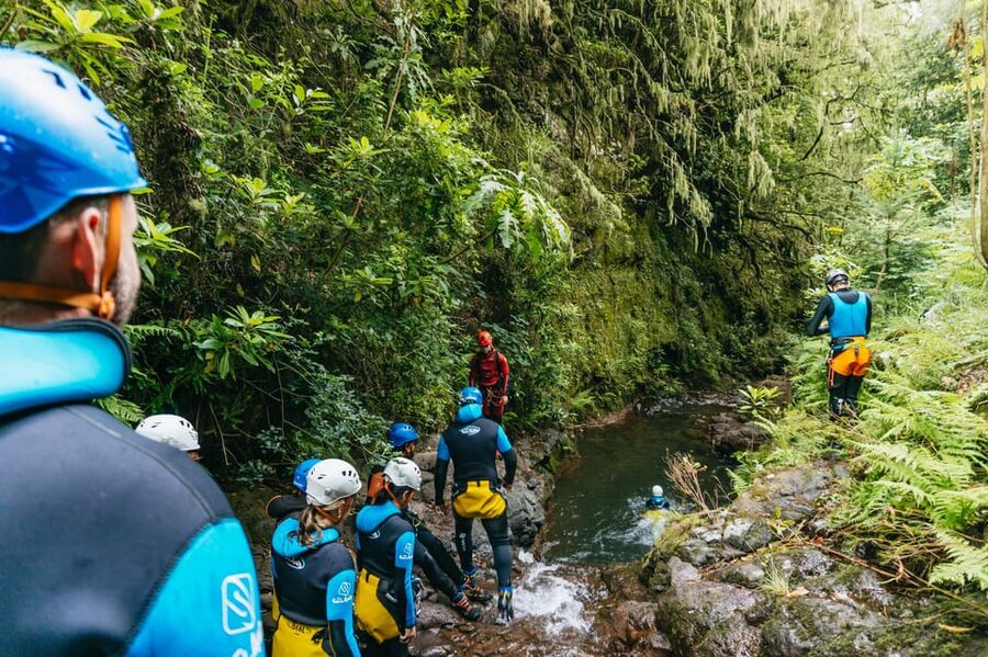 Madeira Canyoning Beginners – Easy & Fun Waterfall Adventure - Price, Safety, and Repeatability: The Big Reason People Return