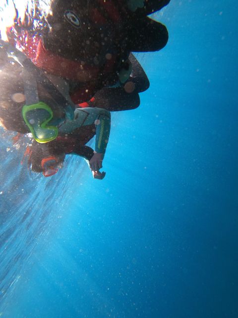 Madeira: Coasteering Tour - Coasteering in Madeira, what it really feels like