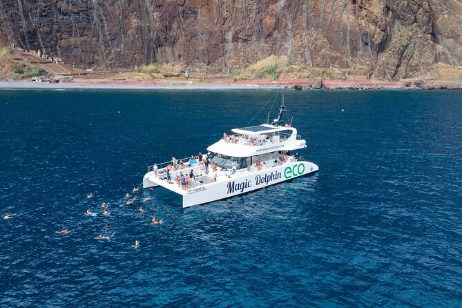 Madeira Dolphin and Whale Watching on a Ecological Catamaran - Key things to know before you go