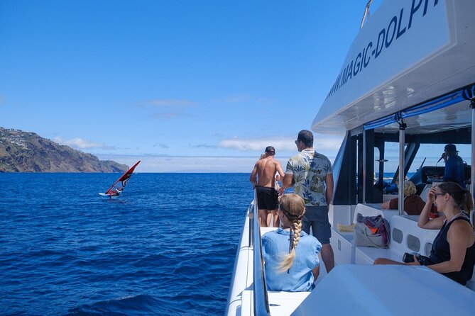 Madeira Dolphin and Whale Watching on a Ecological Catamaran - Seasickness, spray, and what to pack for a comfortable day