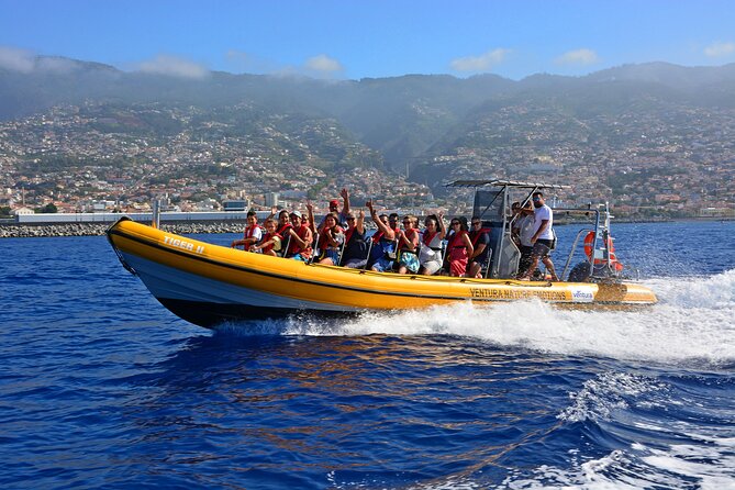Madeira Dolphin & Whale Watching Tour - Key Things I’d Watch for Before You Go