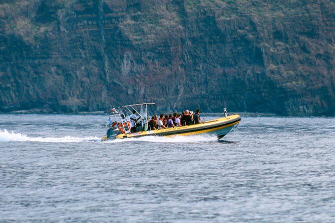 Madeira Dolphin & Whale Watching Tour - What Makes the Crew’s Approach Worth It