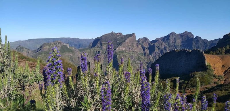 Madeira East Island Tour and Levada Walk - East Madeira in One Day: From Funchal’s Port Streets to Cloudline Peaks