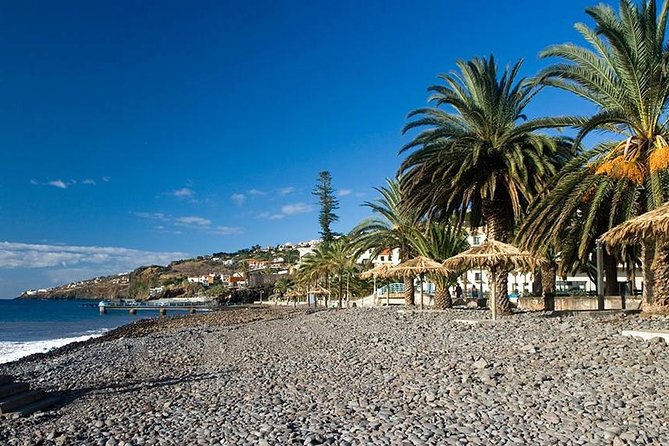Madeira East Tour from Funchal - Ribeiro Frio: Trout Pools and the Prehistoric Forest Feel