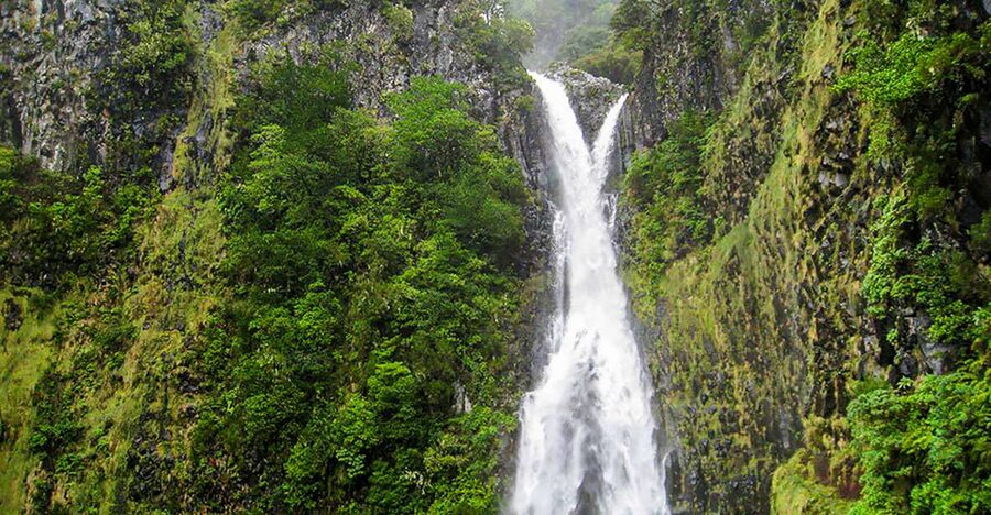 Madeira: Enjoy a Guided Levada Walk in the Rabaçal Valley - Key highlights worth writing home about