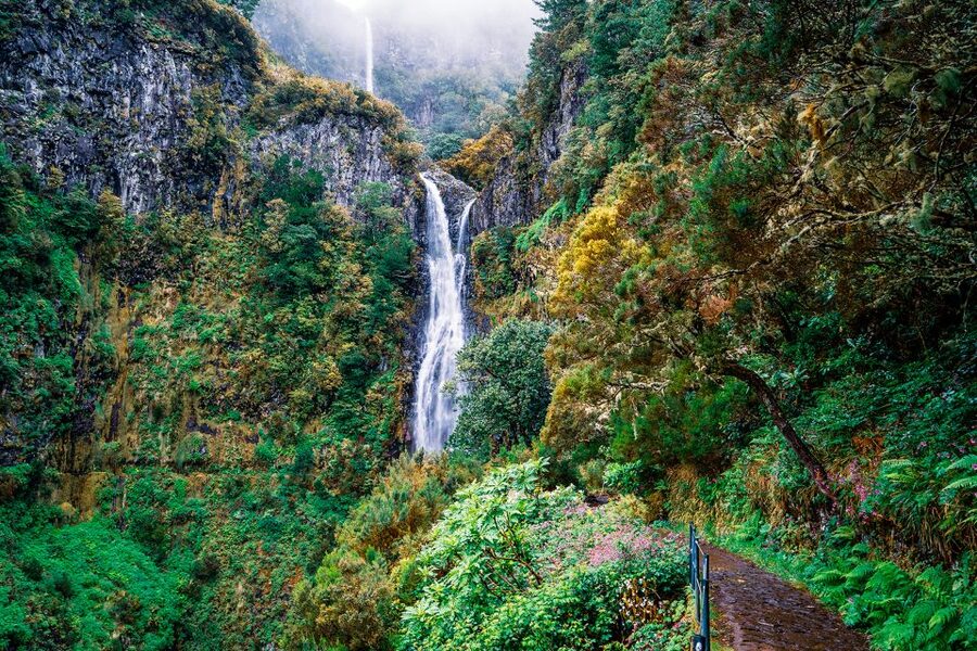 Madeira: Enjoy a Guided Levada Walk in the Rabaçal Valley - Levada das 25 Fontes, the cliff lagoon and the 25 spring moment