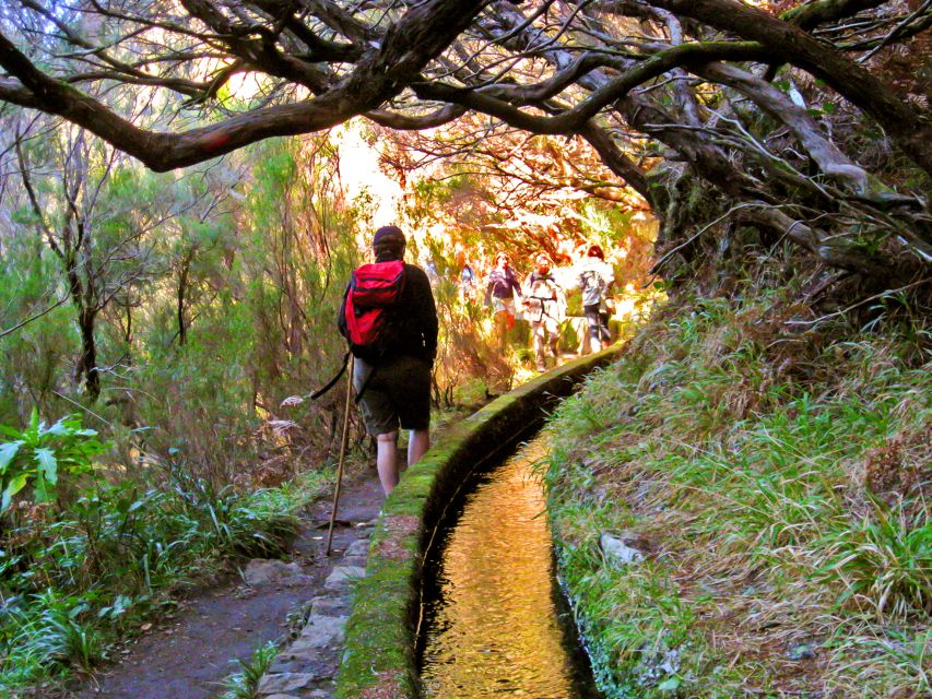 Madeira: Enjoy a Guided Levada Walk in the Rabaçal Valley - Terrain and difficulty, where the walk feels easy and where it gets spicy