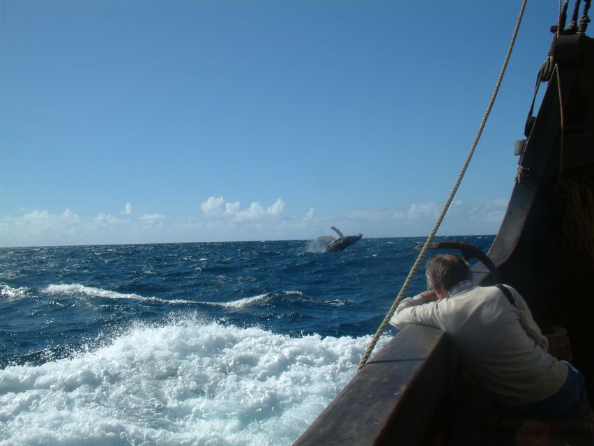Madeira: Flag Ship Tour aboard Santa Maria de Colombo - Best fit: families, short-timers, and sea-lovers with flexible expectations