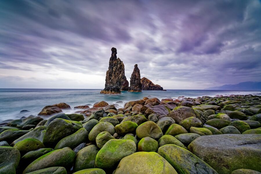 Madeira: Full-Day Jeep Tour, Natural Pools, Seixal & Fanal - Porto Moniz Natural Swimming Pools: Your 2-Hour Payoff