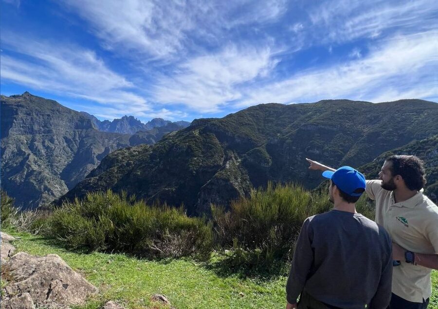 Madeira: Full-Day Jeep Tour with Guide and Pickup - Fanal Forest: the calm pause you did not know you needed