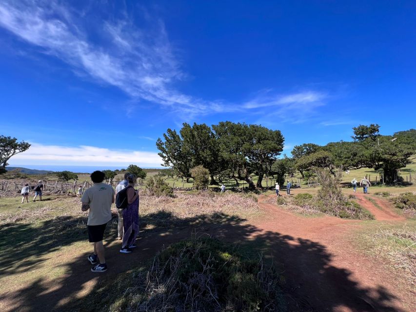 Madeira: Full-Day Jeep Tour with Guide and Pickup - Ponta do Sol finish: sun time, then back down to earth