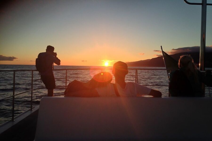Madeira: Funchal Sunset Tour by Catamaran - Getting to the meeting point in Funchal Marina (and why arriving early helps)