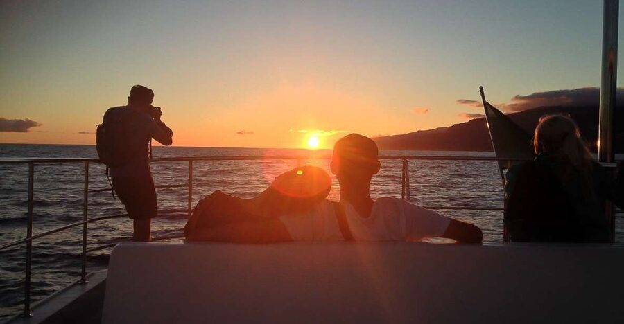 Madeira: Funchal Sunset Tour by Catamaran - Wildlife watching off Madeira: how the crew finds dolphins and whales