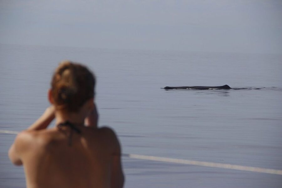 Madeira: Funchal Sunset Tour by Catamaran - Onboard comfort details: seats, mats, warmth, and the little things