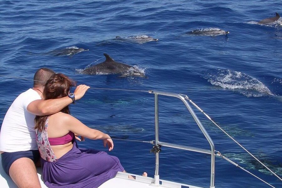 Madeira: Funchal Sunset Tour by Catamaran - The catamaran ride: spacious, scenic, and sometimes wavey
