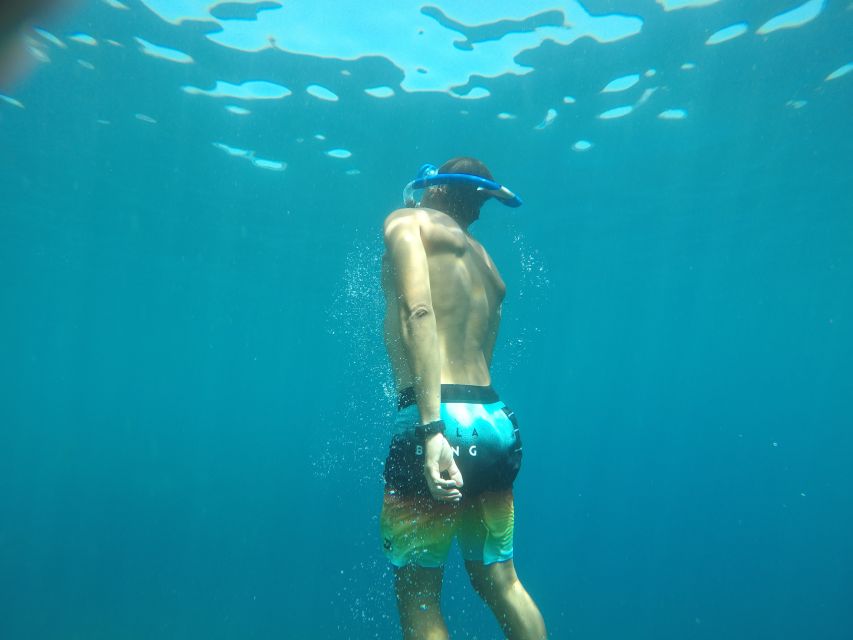 Madeira: Garajau Nature Reserve Kayak and Snorkel Tour - Why This Garajau Kayak and Snorkel Trip Works in 3 Hours