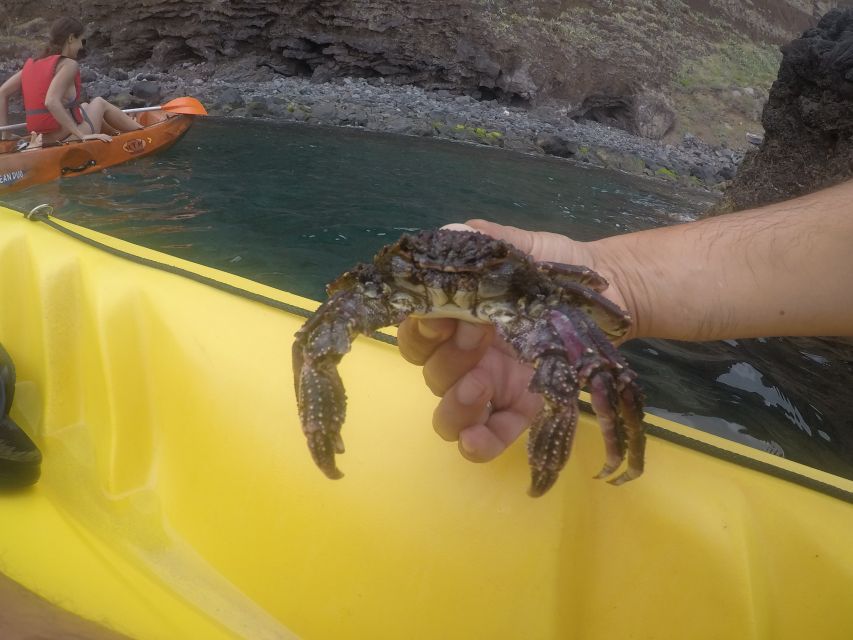Madeira: Garajau Nature Reserve Kayak and Snorkel Tour - Weather Conditions: When the Kayak Becomes the Plan
