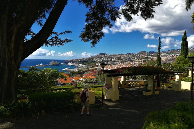 Madeira Grand Experience by Tukxi, Private Tour - Why this tuk-tuk style works so well in Madeira