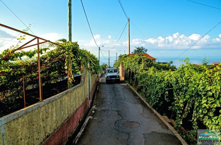 Madeira: Half-Day Nun's Valley and Sea Cliff Tour - Key takeaways before you go