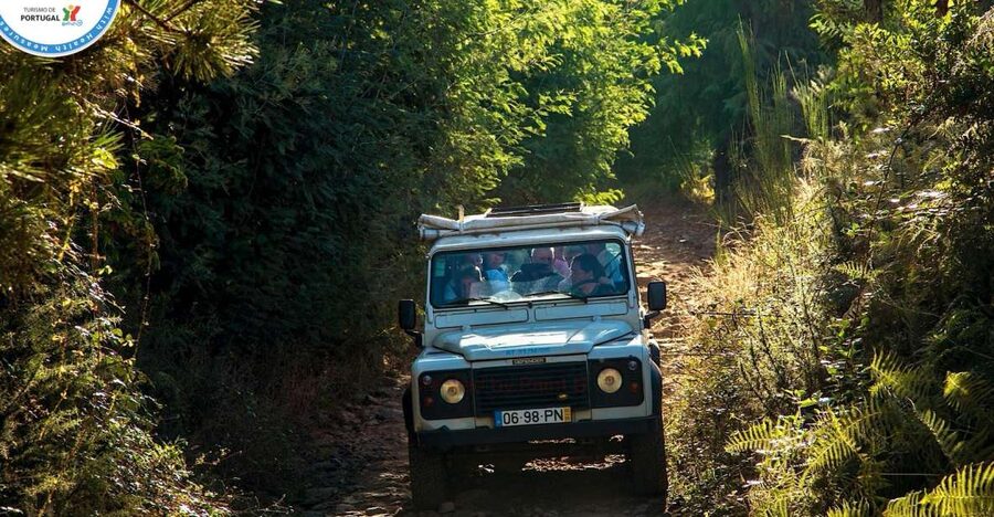 Madeira: Half-Day Nun's Valley and Sea Cliff Tour - From Funchal into Madeira’s high-country valleys