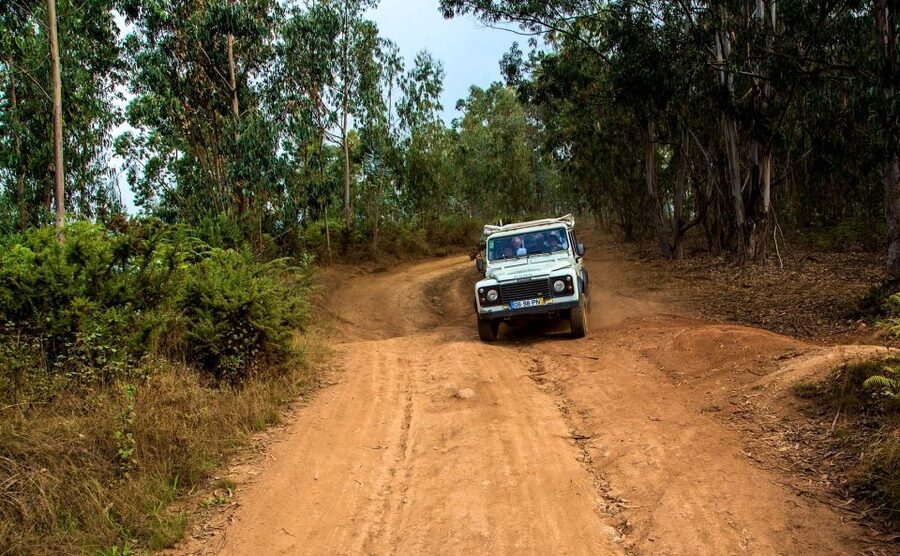 Madeira: Half-Day Nun's Valley and Sea Cliff Tour - Jardim da Serra: the off-road pick-me-up