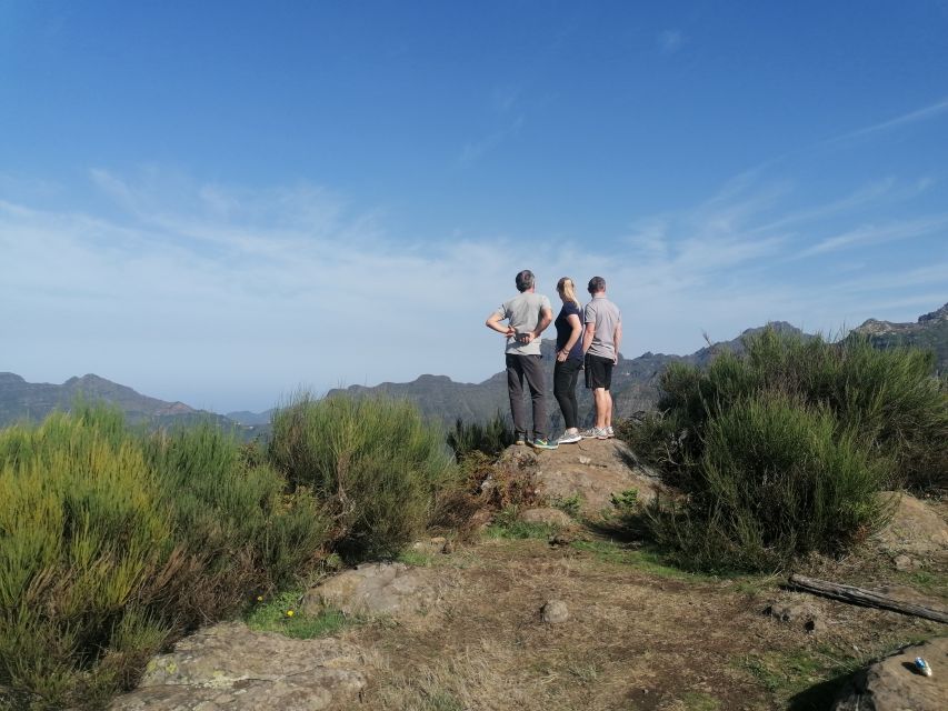 Madeira: Half-Day Off-Road Buggy Tour - Cabo Girão Seacliff: Europe’s Tallest 580-Meter Cliff Stop