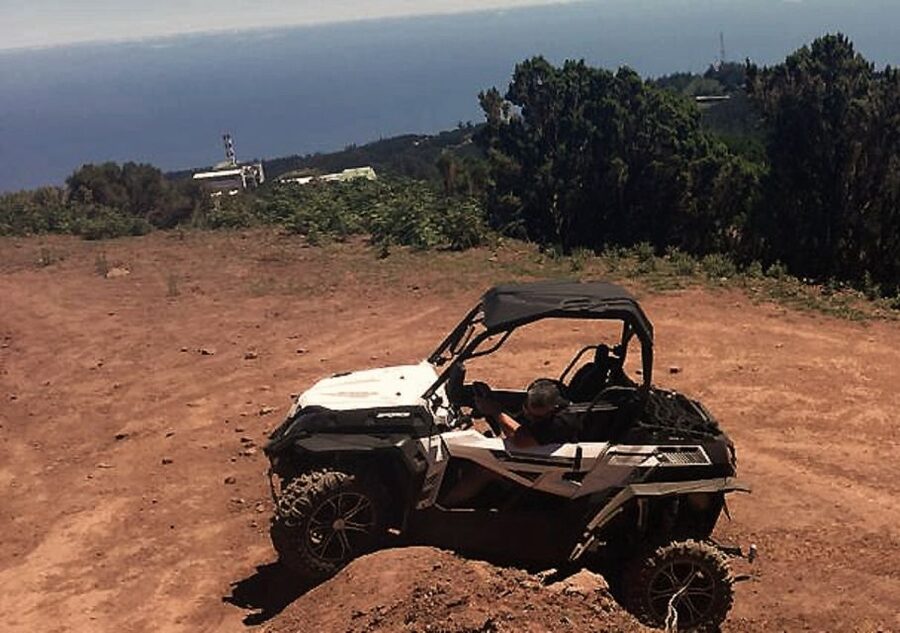 Madeira: Half-Day Off-Road Buggy Tour - Raptors, Viewpoints, and Madeira’s Mountain Terrain Up Close