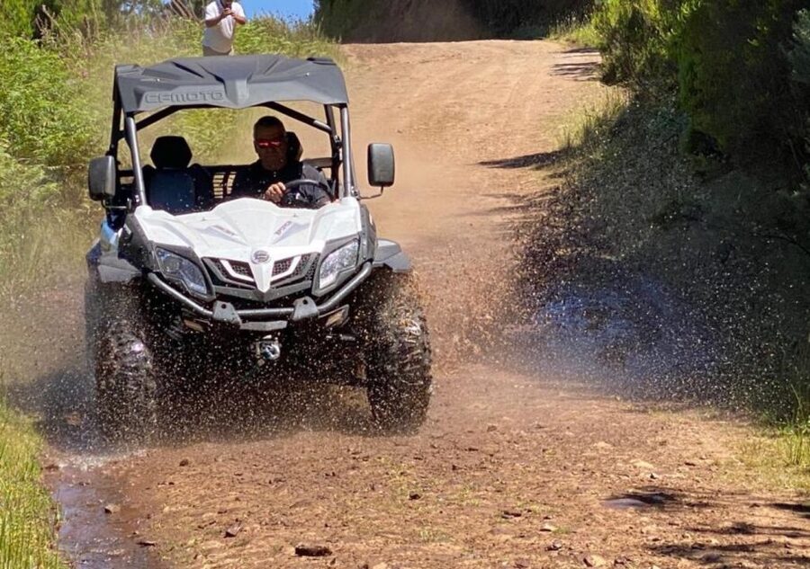 Madeira: Half-Day Off-Road Buggy Tour - Poncha, Breaks, and Why the Rest Stops Are More Than a Pause