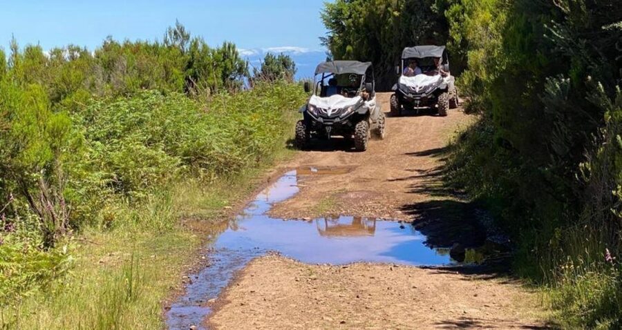 Madeira: Half-Day Off-Road Buggy Tour - What to Wear and Bring So You Enjoy the Mud Instead of Fighting It
