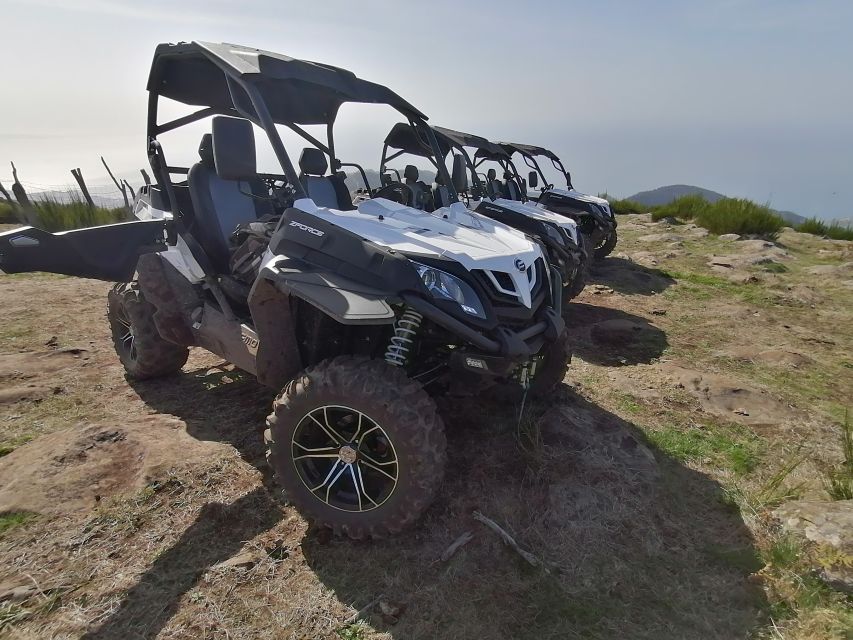 Madeira: Half-Day Off-Road Buggy Tour - Safety and Control: How the Guide Keeps You Confident