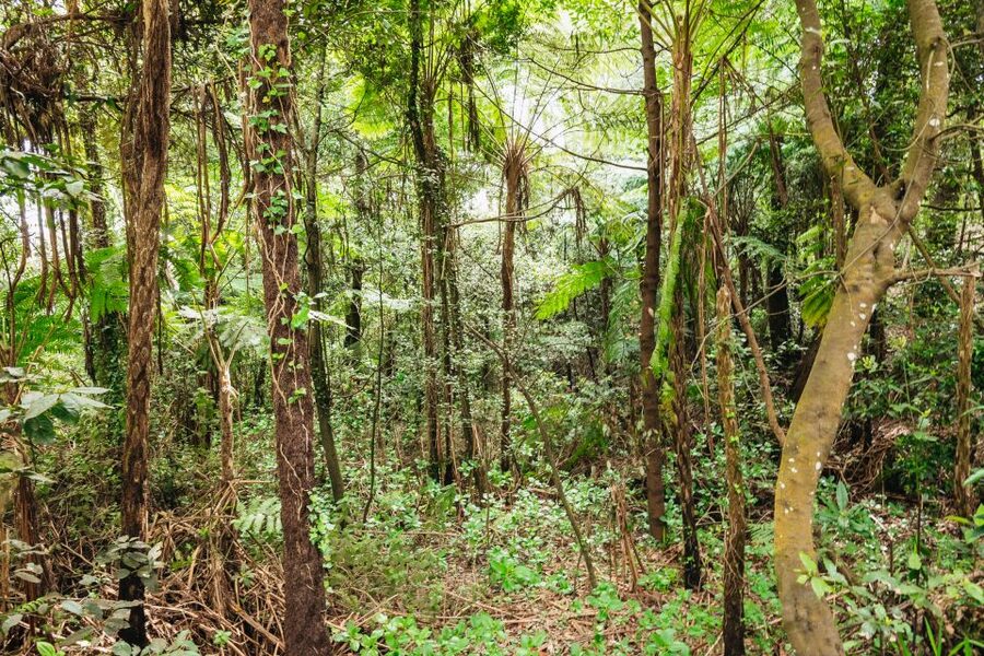 Madeira: Half-Day Pico Areeiro Jeep Tour - Who this Jeep tour is best for (and who should think twice)