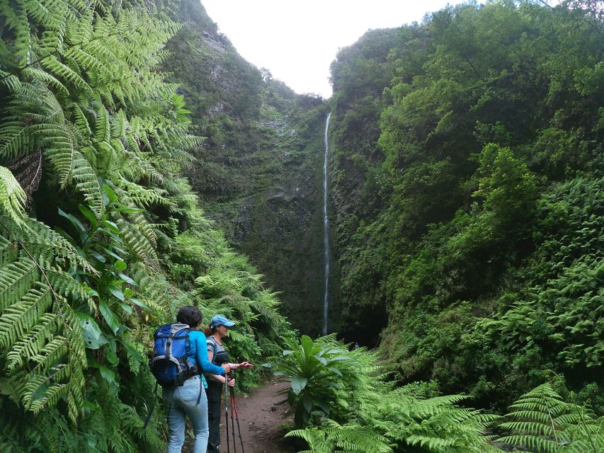 Madeira Island: Caldeirão Verde Levada Walk - Key points before you go