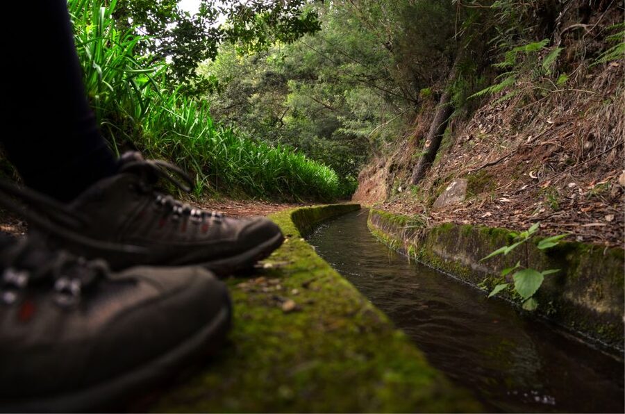 Madeira Island: Caldeirão Verde Levada Walk - Why this levada walk feels so Madeira
