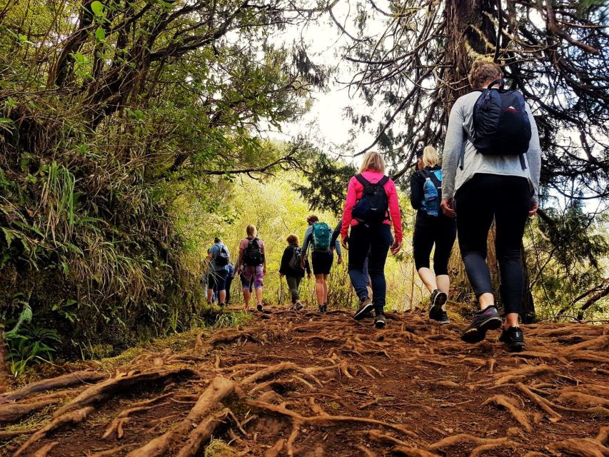 Madeira Island: Caldeirão Verde Levada Walk - The four natural tunnels and what they mean for your comfort