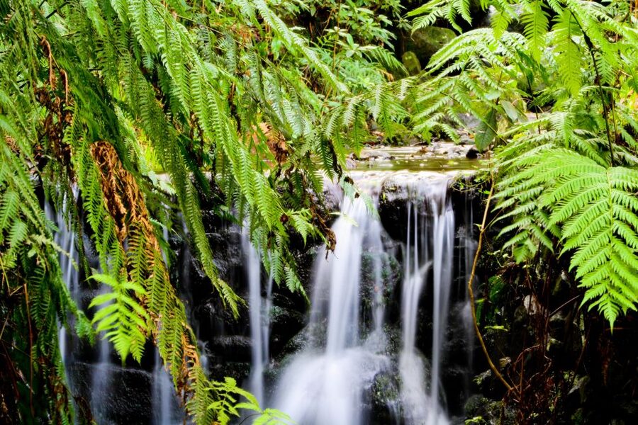 Madeira Island: Caldeirão Verde Levada Walk - How hard is it really, and what to wear