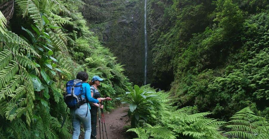 Madeira Island: Caldeirão Verde Levada Walk - Price and value, plus the 3€ you must budget