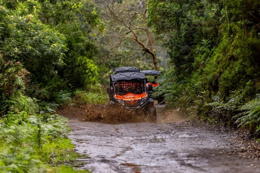Madeira: Off-Road Buggy Adventure Through Laurissilva Forest - Getting Wet, Staying Comfortable, and What to Pack
